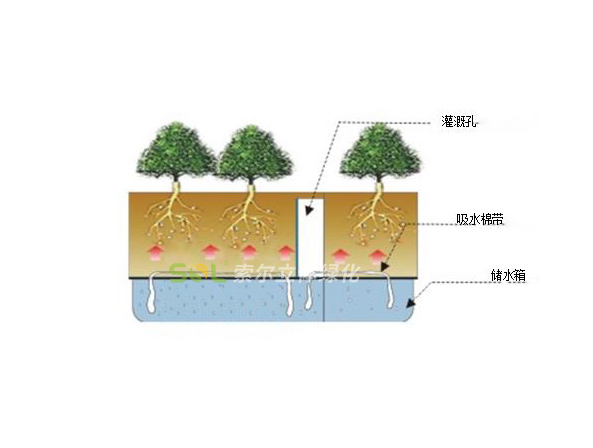 行道树绿化-模块式组合造景系列灌溉示意图