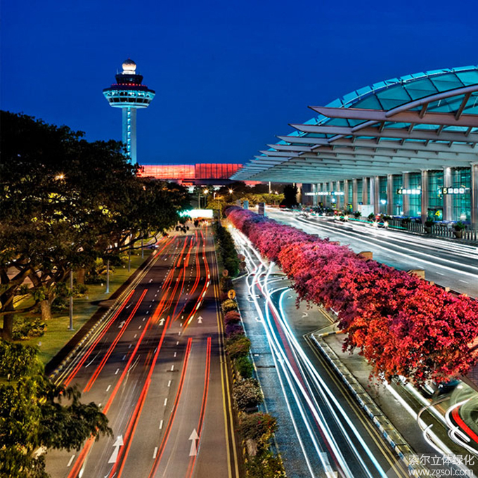 38新加坡樟宜机场护栏绿化08.jpg