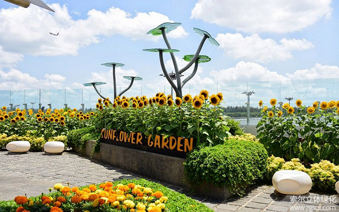 29新加坡樟宜机场屋顶花园向日葵花园 (2).jpg
