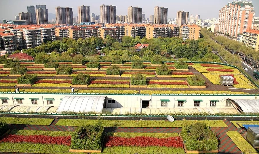 019.jpg